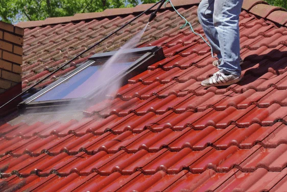 demoussage toiture 94