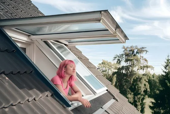 fenetre de toit val de marne