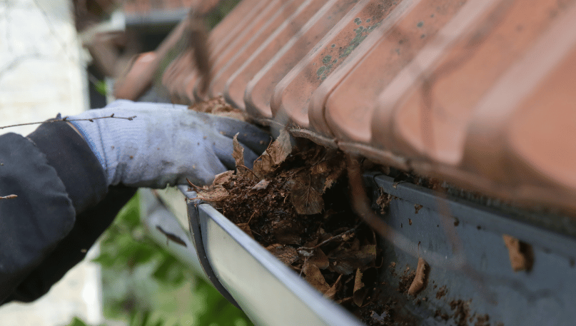 nettoyage gouttiere val de marne