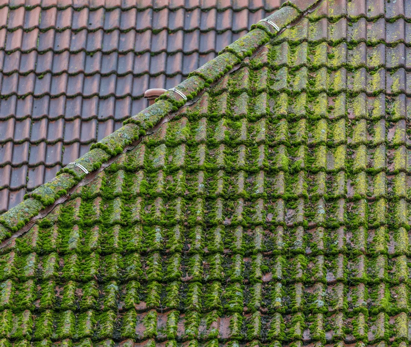 nettoyage toiture 94